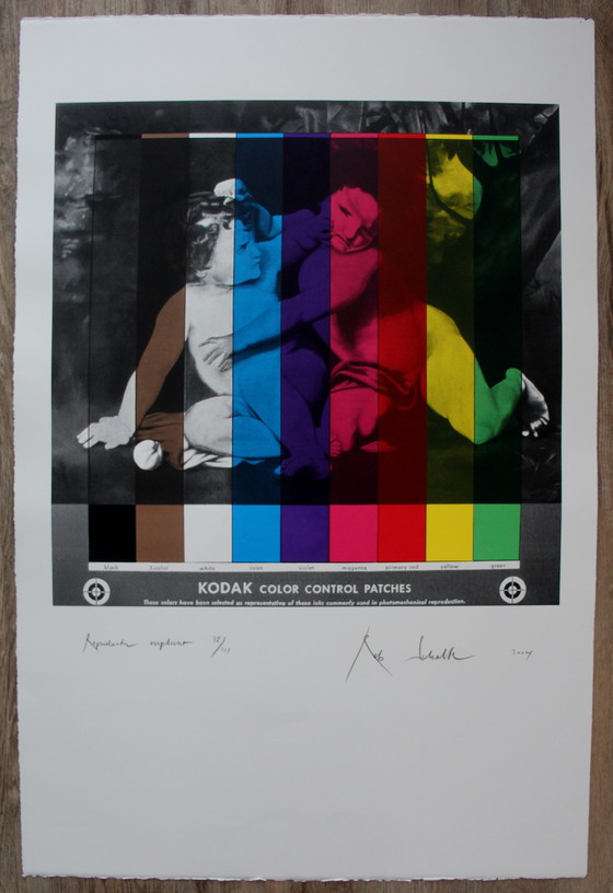 Image 1 of Rob Scholte - Screen printing: Reproduction obligatory - 2004