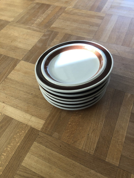 6x Arabia Rosmarin Plates