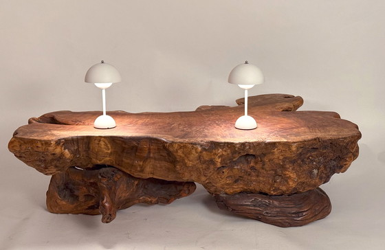 Image 1 of Tavolino da caffè in tronco d'albero in legno di radice - Design brutalista e organico