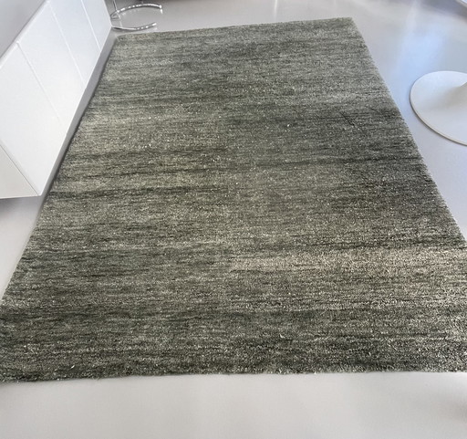 Brinker Rug Green 200-300 M