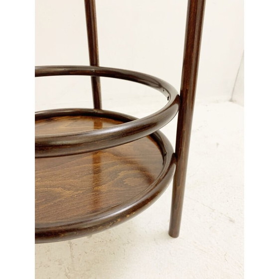 Image 1 of Vintage bentwood planter, Austria 1930