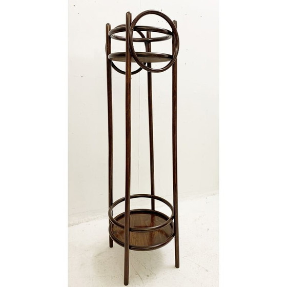 Image 1 of Vintage bentwood planter, Austria 1930