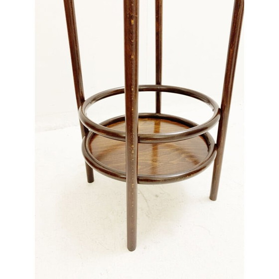 Image 1 of Vintage bentwood planter, Austria 1930