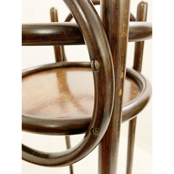 Image 1 of Vintage bentwood planter, Austria 1930