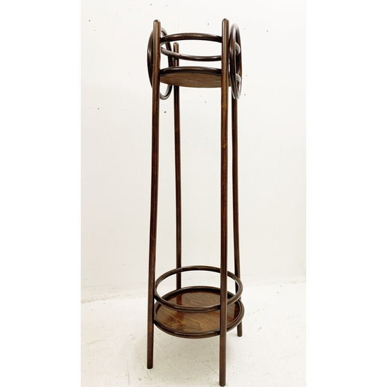 Image 1 of Vintage bentwood planter, Austria 1930