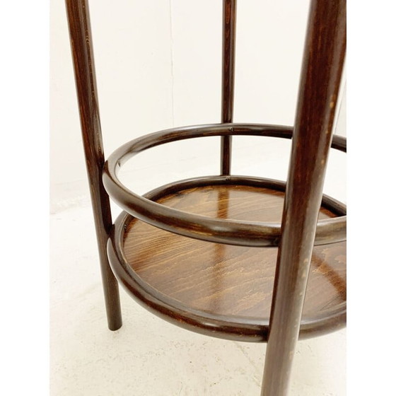 Image 1 of Vintage bentwood planter, Austria 1930