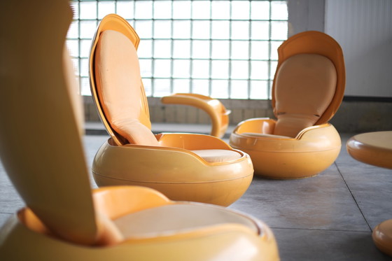 Image 1 of 6 Garden Eggs - Peter Ghyczy - Ghyczy Design