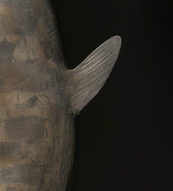 Image 1 of Remnants of an Extinct Symphony