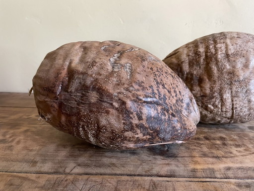 2 X Decorative Coconut Nuts