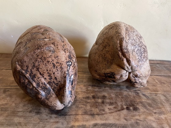 Image 1 of 2 X Decorative Coconut Nuts