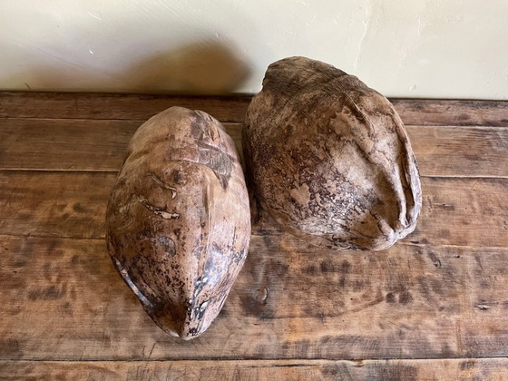 Image 1 of 2 X Decorative Coconut Nuts