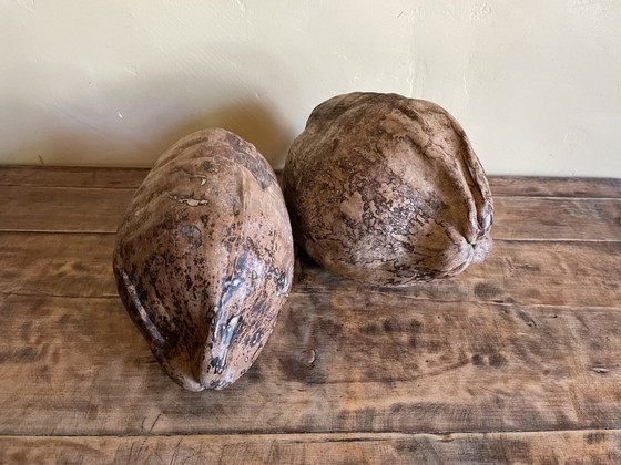 Image 1 of 2 X Decorative Coconut Nuts