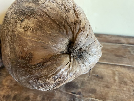 Image 1 of 2 X Decorative Coconut Nuts