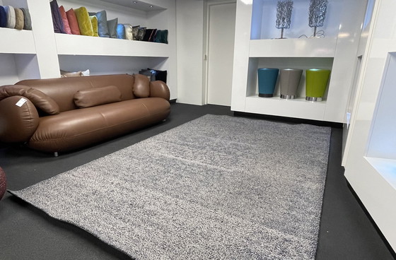 Image 1 of Brink & Campman Cocoon carpet