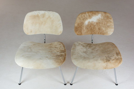 Charles & Ray Eames.Pair Of Eames Lcm Chairs In Calf’S Skin For Vitra