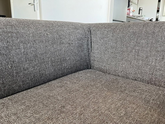 Image 1 of Pode Ziggy designer sofa