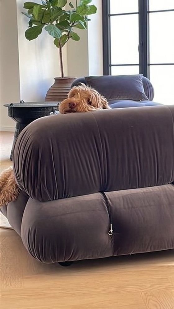 Image 1 of B&B Italia Camaleonda, “Also sold individually.”