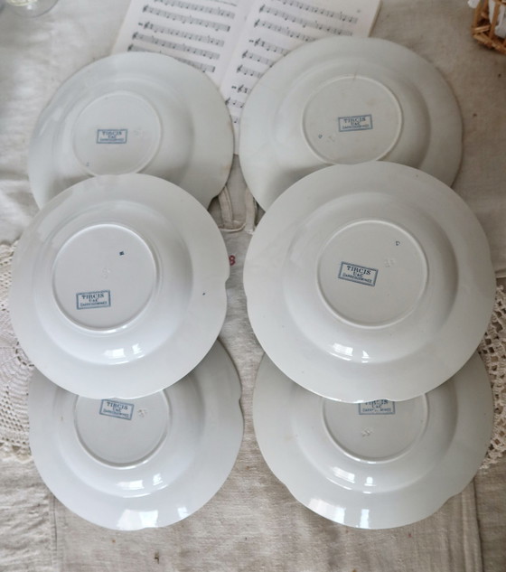 Image 1 of 6 Soup plates - Model Tircis - Service Sarreguemines Vaisselle 82 Pièces