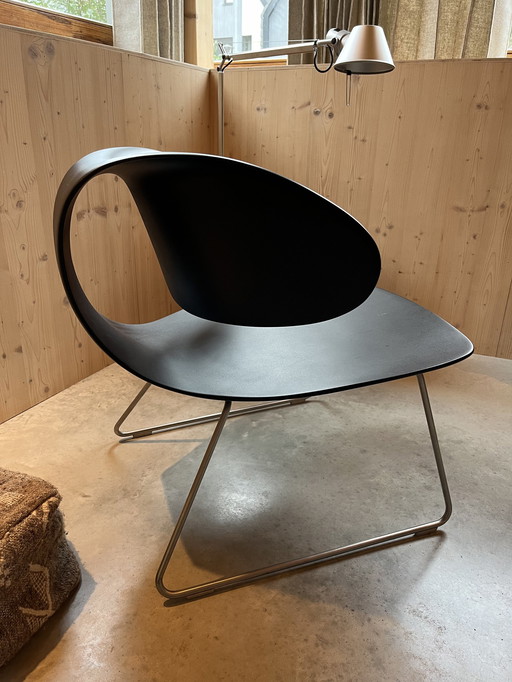 William Sawaya - & Moroni Armchair Maxima