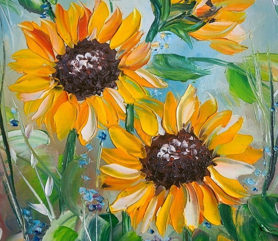 Image 1 of Viola Sado "Girasoli"