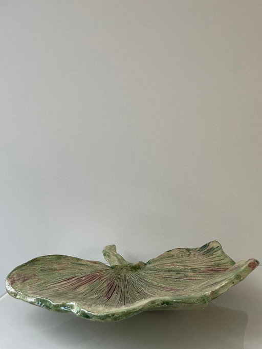 Pottery Bowl Of Ginko Biloba Leaf