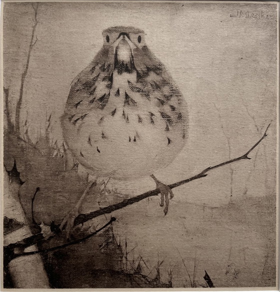 Image 1 of Jan Mankes - Original Framed Heliogravure Thrush on Branch 1923