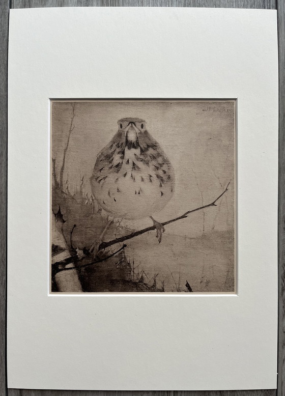 Image 1 of Jan Mankes - Original Framed Heliogravure Thrush on Branch 1923