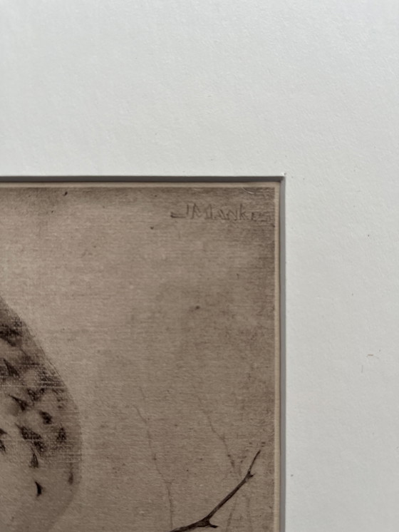 Image 1 of Jan Mankes - Original Framed Heliogravure Thrush on Branch 1923