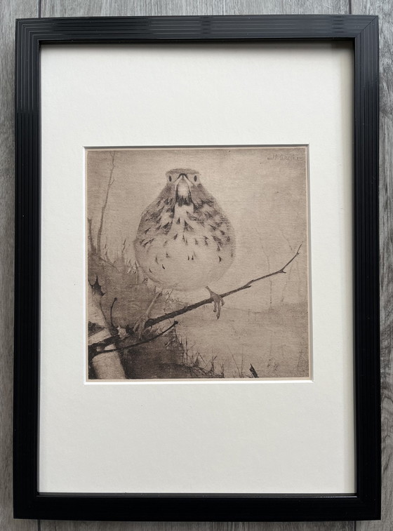 Image 1 of Jan Mankes - Original Framed Heliogravure Thrush on Branch 1923