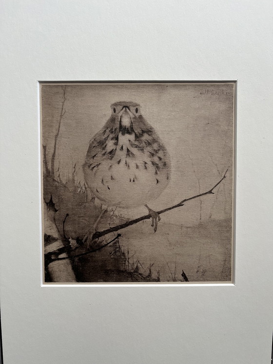 Image 1 of Jan Mankes - Original Framed Heliogravure Thrush on Branch 1923