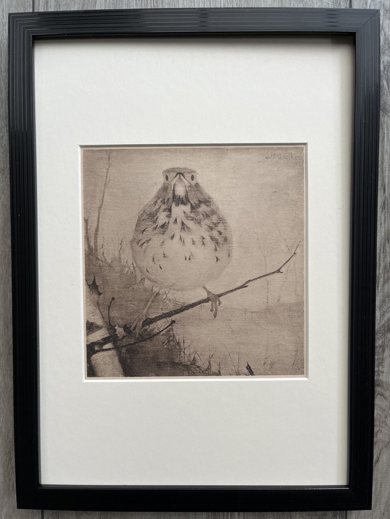 Image 1 of Jan Mankes - Original Framed Heliogravure Thrush on Branch 1923