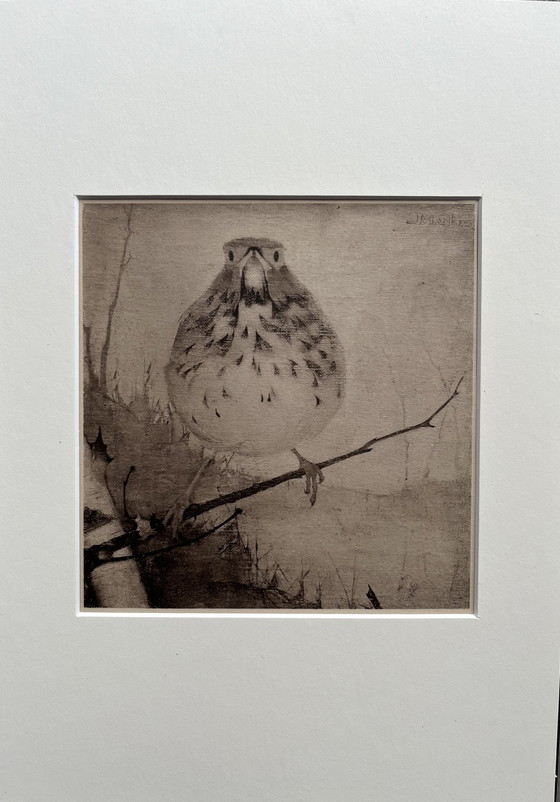 Image 1 of Jan Mankes - Original Framed Heliogravure Thrush on Branch 1923