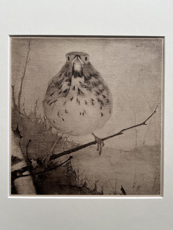 Image 1 of Jan Mankes - Original Framed Heliogravure Thrush on Branch 1923