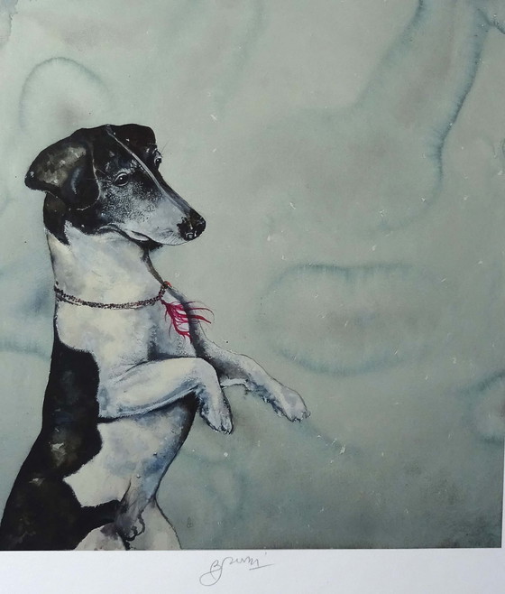 Image 1 of Bruno Bruni - My Dog - Meneloa - Giclèe 2017 - Hand-signed