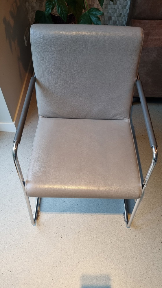 Image 1 of 6X Leolux Dining Chair Spring