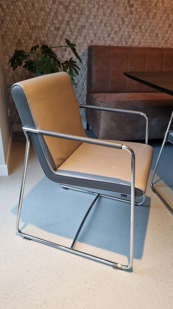 Image 1 of 6X Leolux Dining Chair Spring