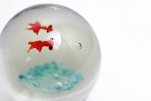 Nice glass sulphide squids paperweight