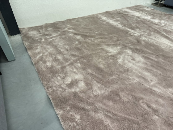 Image 1 of Brink En Campman Ripe Low Rug 343X403 Pink