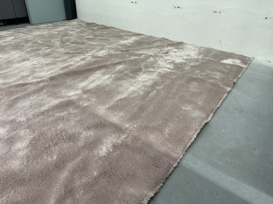 Image 1 of Brink En Campman Ripe Low Rug 343X403 Pink