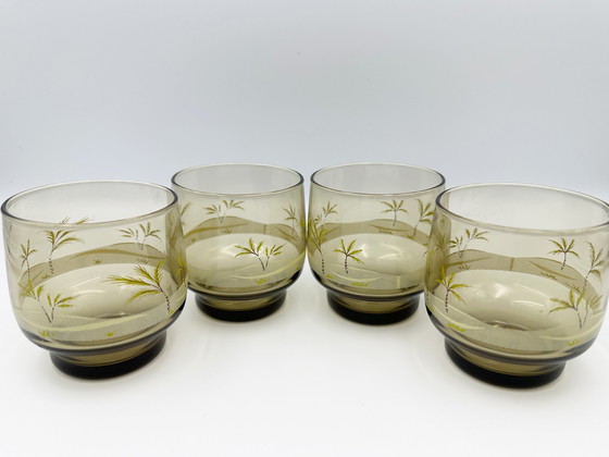 Image 1 of Verres tropicaux en verre fumé 1960