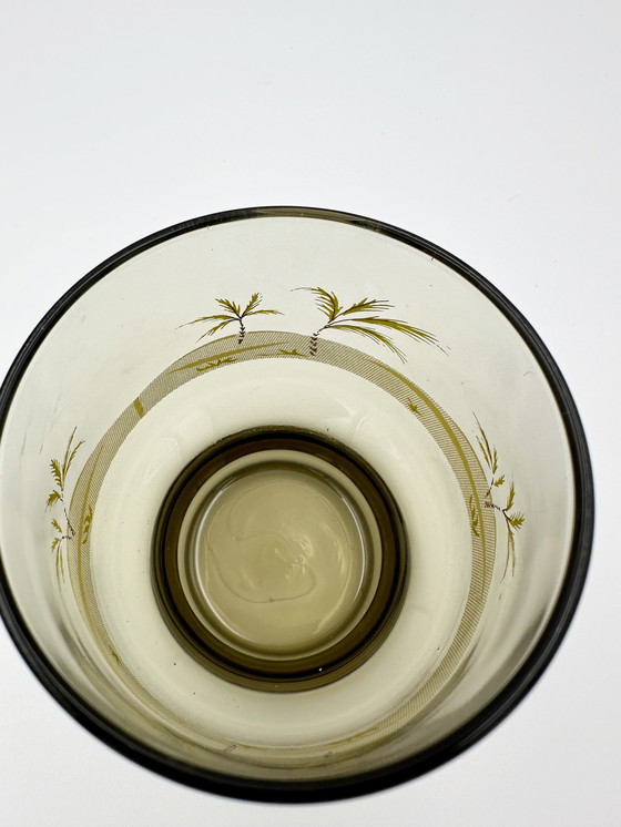 Image 1 of Verres tropicaux en verre fumé 1960