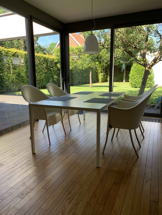 Image 1 of Philippe Starck chairs - Lord Yo, 4 pieces