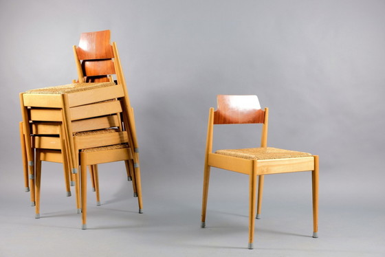 Image 1 of Vintage Model SE 19 Side Chairs by Egon Eiermann for Wilde+Spieth, 1950s, Set of 6