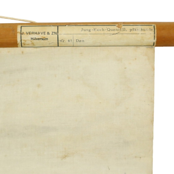 Image 1 of Vintage School Map The Pine