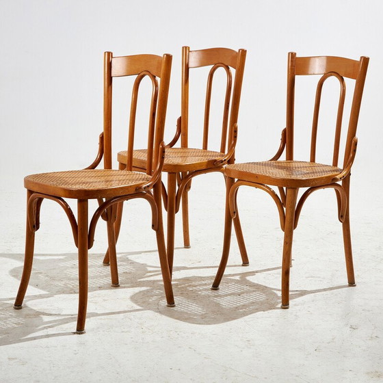 Image 1 of Vintage beechwood chair with bentwood frame and rattan seat, 1960s
