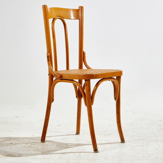 Image 1 of Vintage beechwood chair with bentwood frame and rattan seat, 1960s