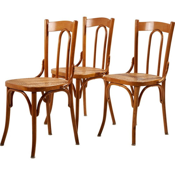 Image 1 of Vintage beechwood chair with bentwood frame and rattan seat, 1960s