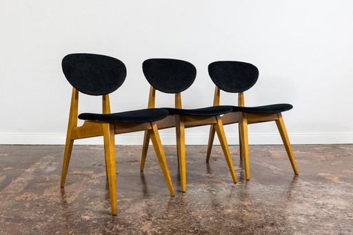 Set Of 3 Chairs By Juliusz Kędziorek, Gfm, 1960'S