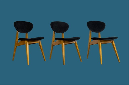 Set Of 3 Chairs By Juliusz Kędziorek, Gfm, 1960'S