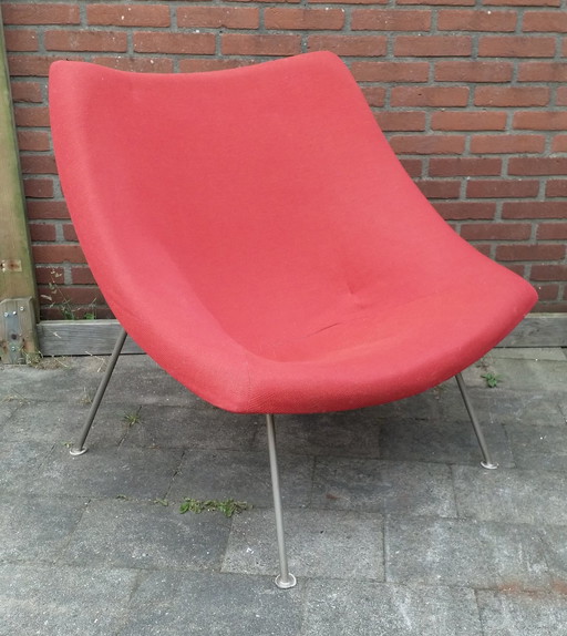 Artifort Oyster chair